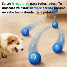 Cargar imagen en el visor de la galería, Pelota Inteligente para Mascotas: Diversión y Ejercicio Sin Límites