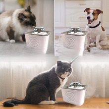Cargar imagen en el visor de la galería, Fuente Saludable para Mascotas - ENVIO GRATIS