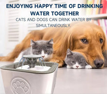 Cargar imagen en el visor de la galería, Fuente Saludable para Mascotas - ENVIO GRATIS