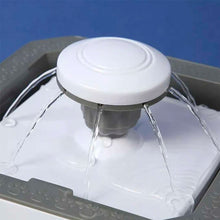 Cargar imagen en el visor de la galería, Fuente Saludable para Mascotas - ENVIO GRATIS