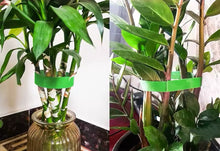 Cargar imagen en el visor de la galería, Sujetá tus plantas sin lastimarlas
