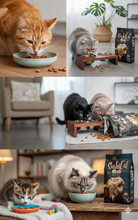 Cargar imagen en el visor de la galería, SushiCat 7kg – La comida que tu gato merece para vivir más sano y feliz 🐾✨
