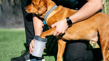 Cargar imagen en el visor de la galería, PawClean™ — Limpiador de Patitas para Perros
